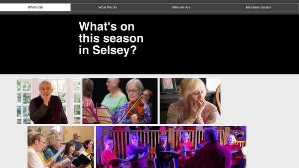 Screenshot of the Arts Dream Selsey website