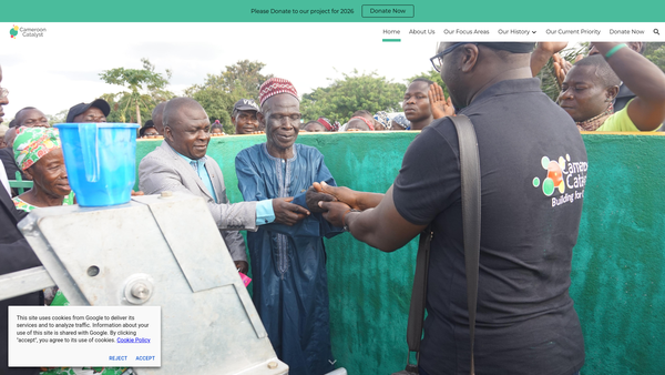 Screenshot of the Cameroon Catalyst website