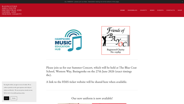Screenshot of the The Friends Of Basingstoke Area Youth Orchestras And Choirs website