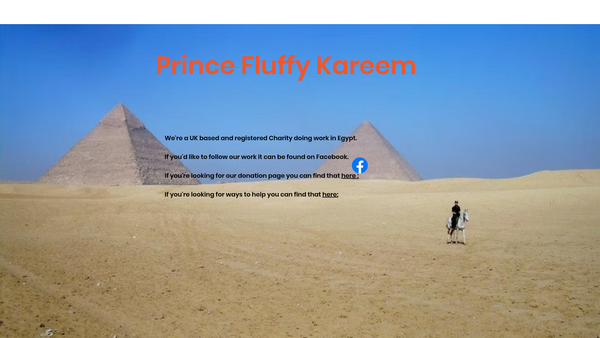Screenshot of the Prince Fluffy Kareem website