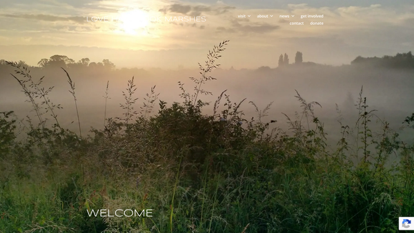 Screenshot of the Love Hambrook Marshes CIO website