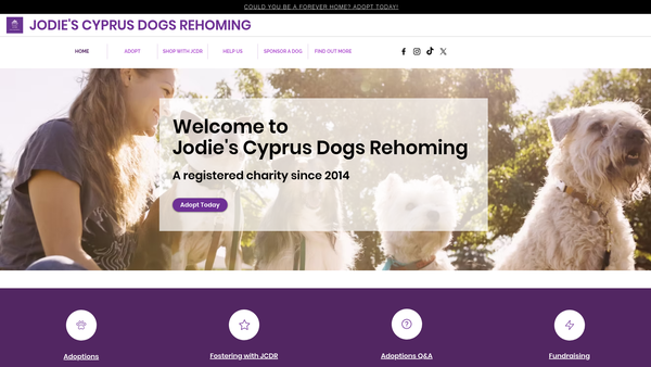 Screenshot of the Jodies Cyprus Dog Rehoming website