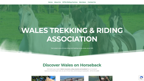 Screenshot of the Bryngwyn Riding For The Disabled website
