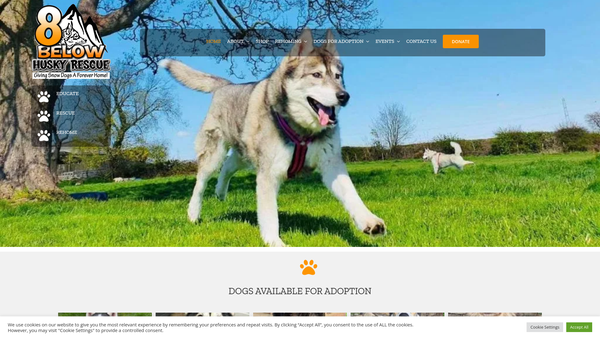 Screenshot of the 8 Below Husky Rescue website