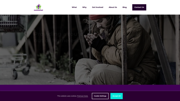 Screenshot of the Reconnected website