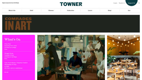 Screenshot of the Towner website