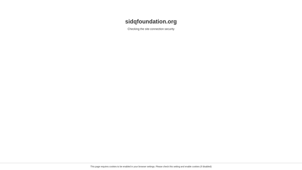 Screenshot of the Sidq Foundation website