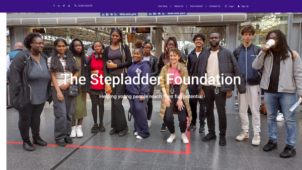 Screenshot of the The Stepladder Foundation website