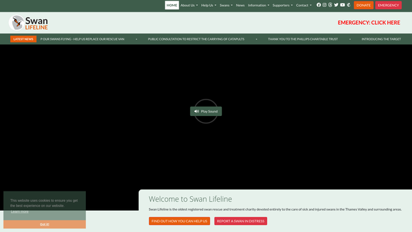 Screenshot of the Swan Lifeline website