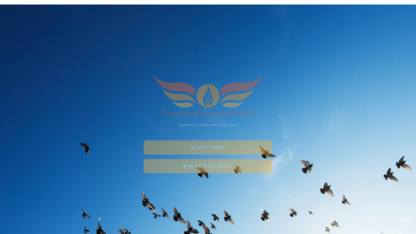 Screenshot of the Freedom International Now Ltd website