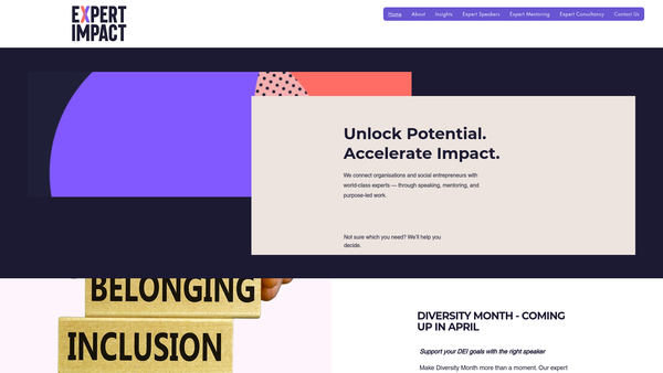 Screenshot of the Expert Impact website