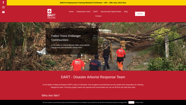 Screenshot of the Dart International UK website