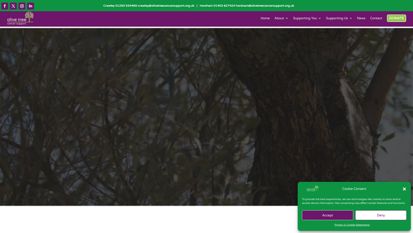 Screenshot of the Olive Tree Cancer Support Group website