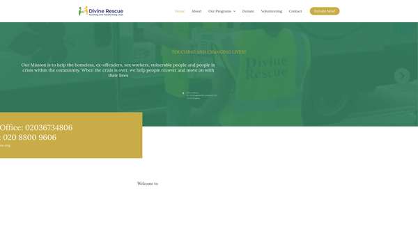 Screenshot of the Divine Rescue website