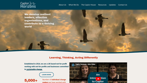 Screenshot of the Caplor Horizons website
