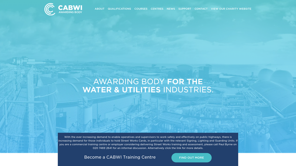 Screenshot of the Cabwi Awarding Body website