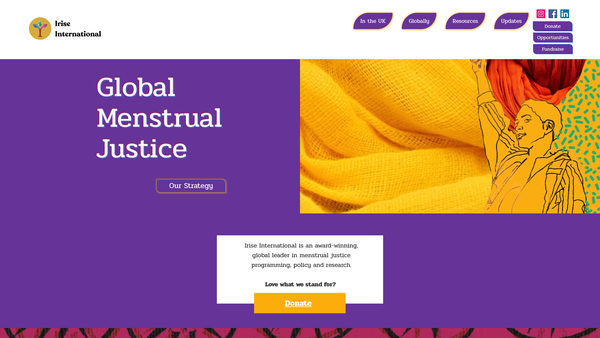 Screenshot of the Irise International website