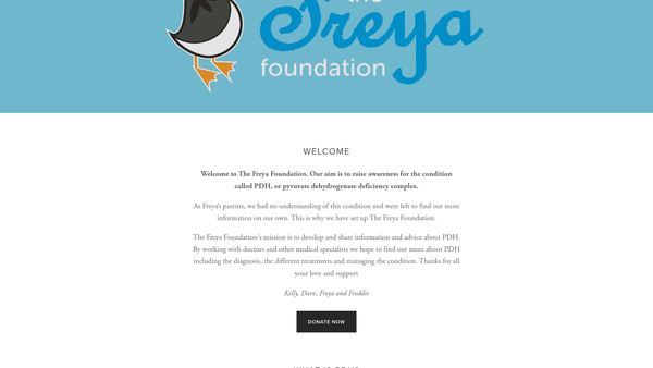 Screenshot of the The Freya Foundation website