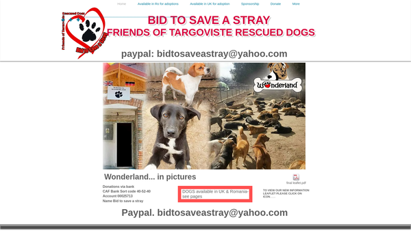Screenshot of the Bid To Save A Stray website