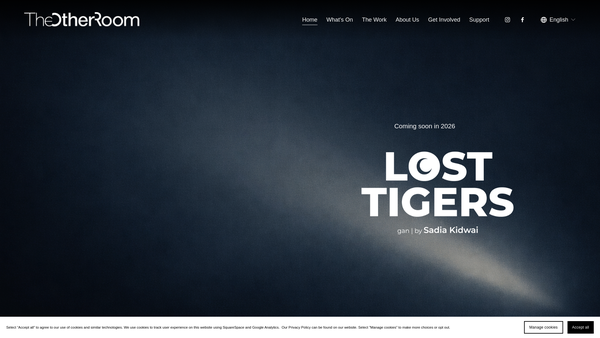 Screenshot of the The Other Room website