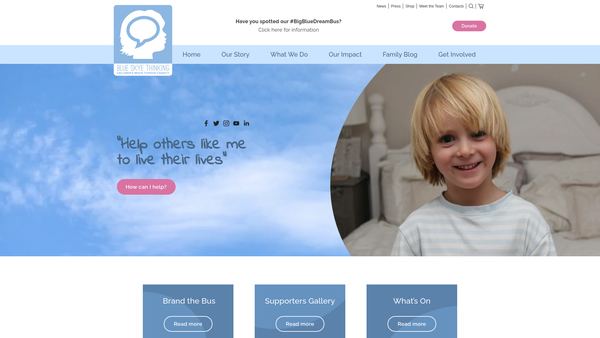 Screenshot of the Blue Skye Thinking website