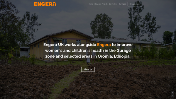 Screenshot of the Engera UK website