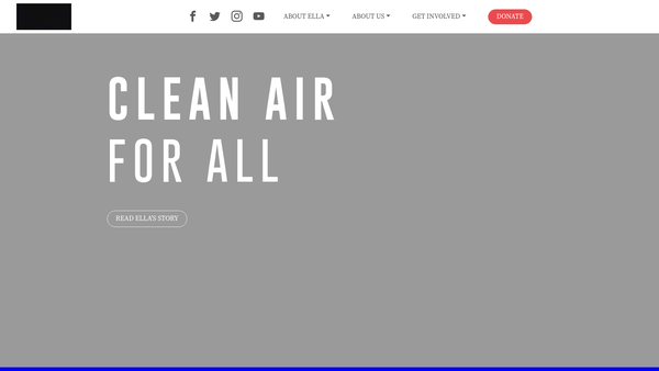 Screenshot of the The Ella Roberta Family Foundation website