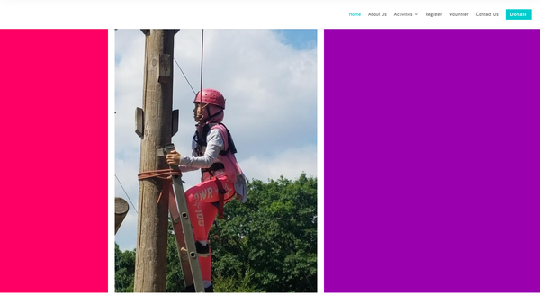 Screenshot of the Social Enterprise For Her/his Integration, Networking And Education (Youth-Shine) website