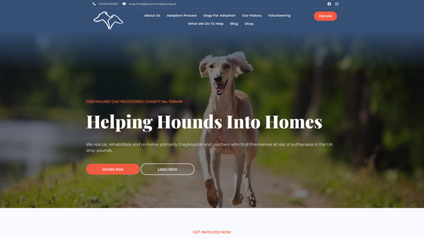 Screenshot of the Greyhound Gap website