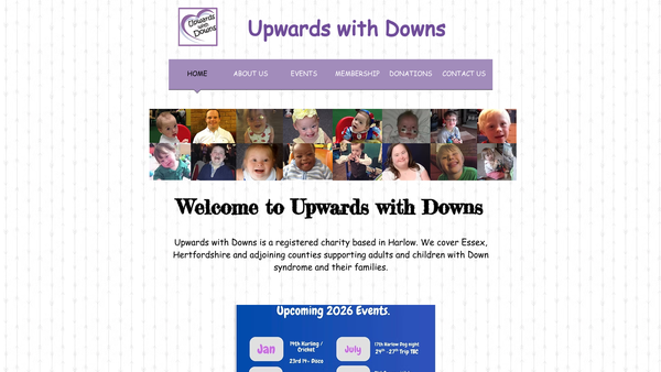 Screenshot of the Upwards With Downs website
