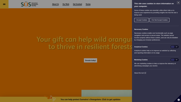 Screenshot of the Sumatran Orangutan Society website