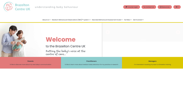 Screenshot of the Brazelton Centre UK CIO website