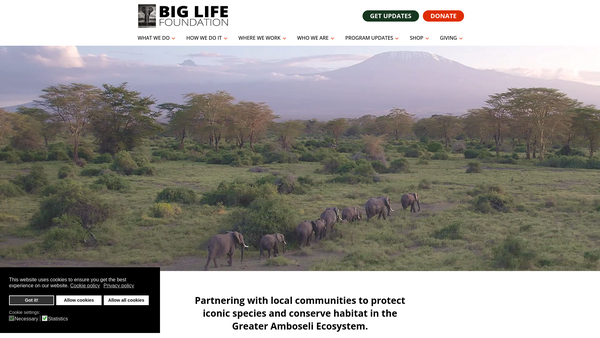 Screenshot of the Big Life UK website