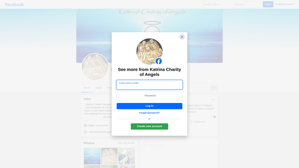Screenshot of the Katrina Charity Of Angels website