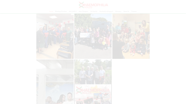 Screenshot of the Haemophilia Wales website