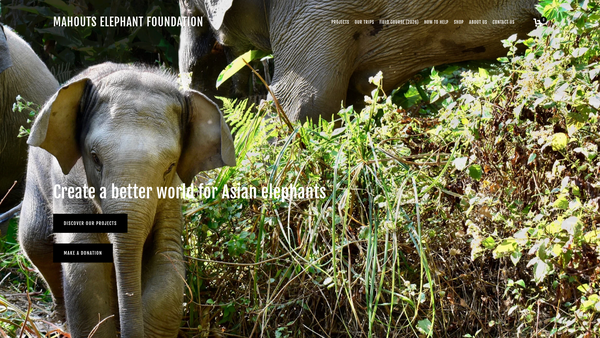 Screenshot of the Mahouts Foundation website