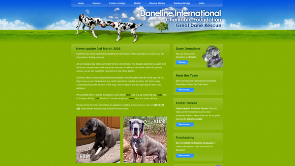 Screenshot of the Daneline International Charitable Foundation website