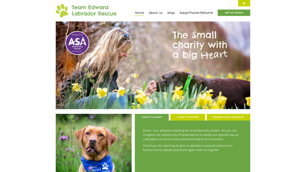 Screenshot of the Team Edward website