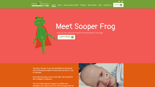 Screenshot of the The Harry Johnson Trust website