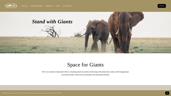 Screenshot of the Space For Giants website