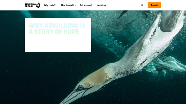 Screenshot of the Rewilding Britain website