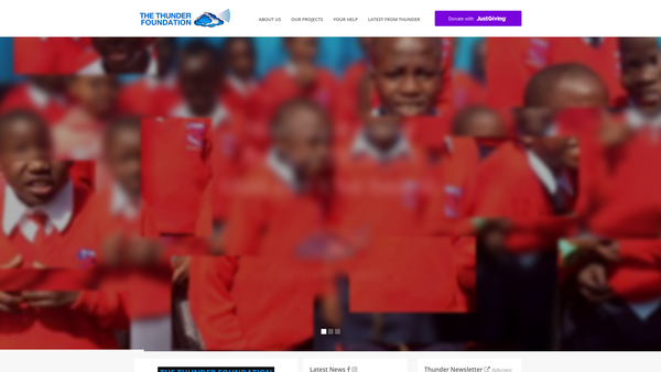 Screenshot of the The Thunder Foundation website