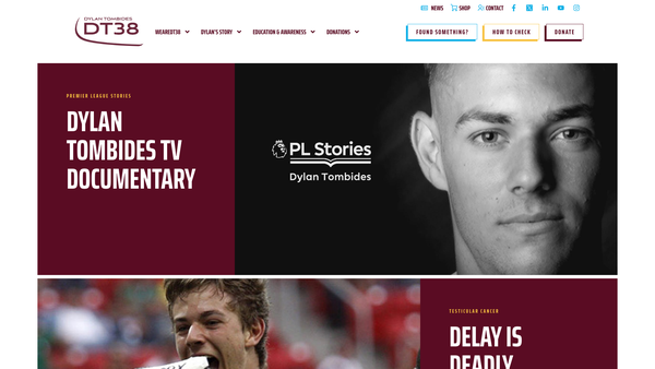 Screenshot of the Dt38 Foundation website