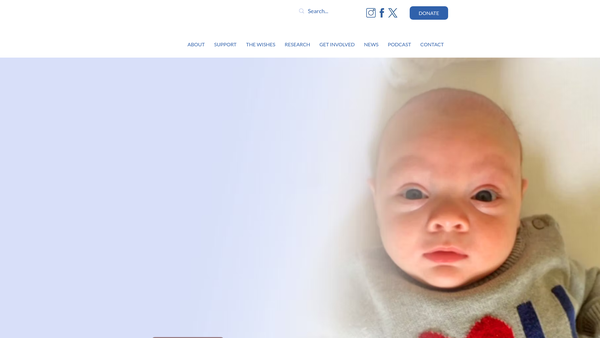 Screenshot of the Teddy's Wish website