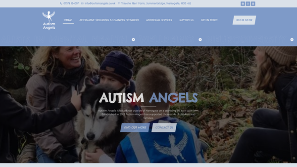 Screenshot of the Autism Angels Ltd website