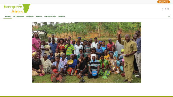 Screenshot of the Evergreen Africa website