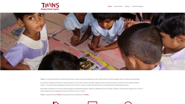 Screenshot of the Twins website