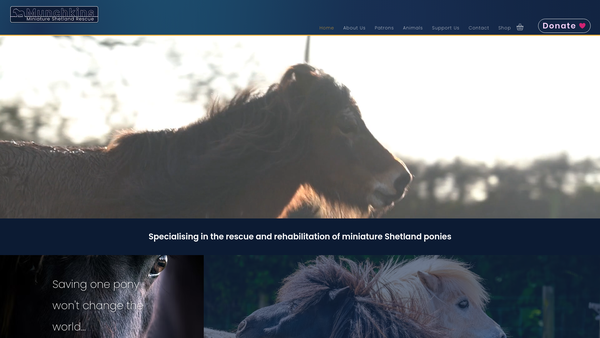 Screenshot of the Munchkins Miniature Shetland Rescue website
