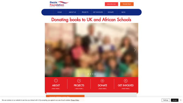 Screenshot of the Ihezie Foundation website