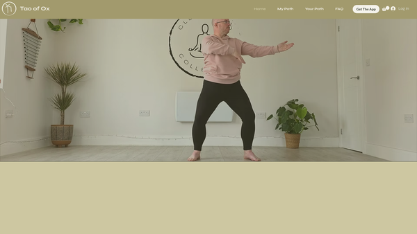 Screenshot of the Go Get You website